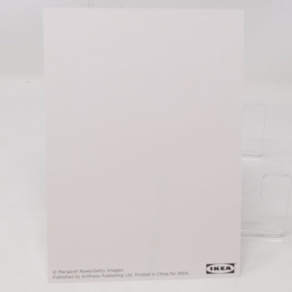 IKEA Kort Art Cards 5x7" Flora Set of 5 Floral Flowers Gallery Prints Retired - Picture 7 of 15